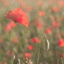 Fototreff Rhein Neckar Teamarbeit 16