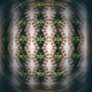 Fototreff Rhein Neckar Teamarbeit 18