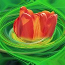 Fotozirkel Mannheim Giersch Barbara 02