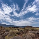 LFK-03 Stefanie Lisske Teneriffa