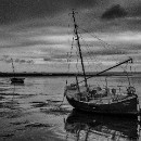 Reflex Meckesheim Popp Gerd 01