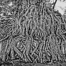 Reflex Meckesheim Steigleder Joerg 01